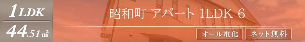 昭和町 アパート 1LDK 6表紙
