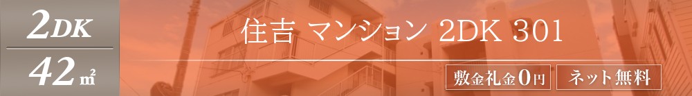 住吉 マンション 2DK 301表紙