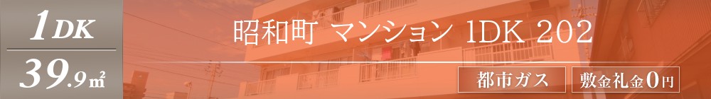 昭和町 マンション 1DK 202表紙