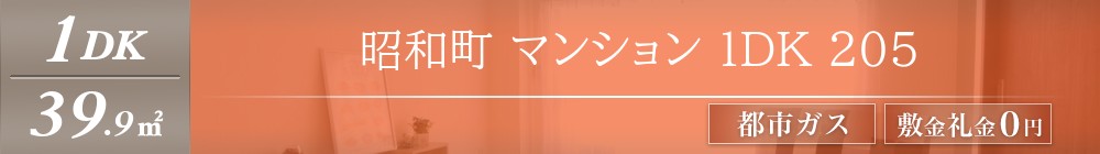 昭和町 マンション 1DK 205表紙