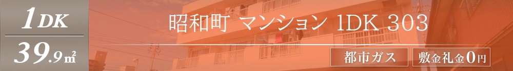 昭和町 マンション 1DK 303表紙