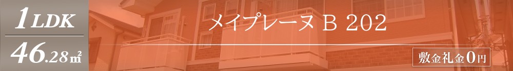 メイプレーヌ B 202表紙