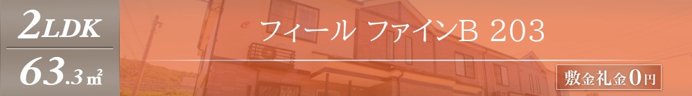 フィール ファインB 203表紙