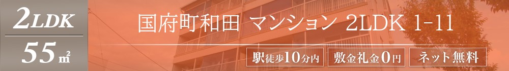 国府町和田 マンション 2LDK 1-11表紙