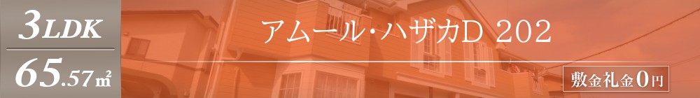 アムール・ハザカD 202表紙