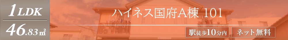 ハイネス国府A棟 101表紙