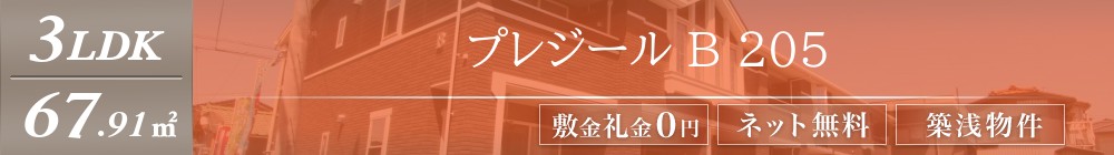 プレジール B 205表紙