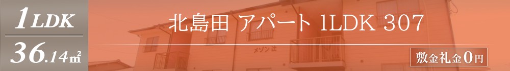 北島田町 アパート 1LDK 307表紙
