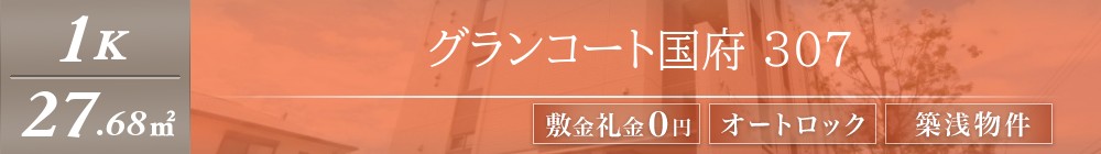 グランコート国府 307表紙