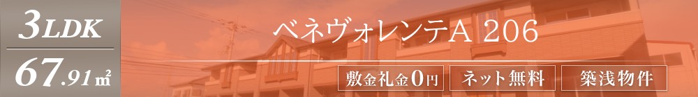 ベネヴォレンテA 206表紙