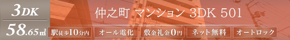 仲之町 マンション 3DK 501表紙