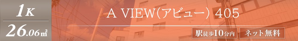 A VIEW(アビュー) 405表紙
