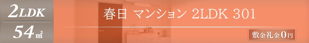 春日 マンション 2LDK 301表紙