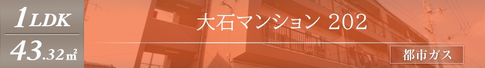 大石マンション 202表紙