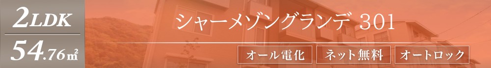 シャーメゾングランデ 301表紙