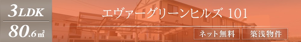 エヴァーグリーンヒルズ 101表紙
