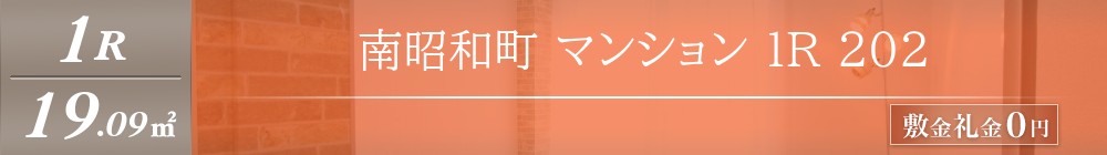 南昭和町 マンション 1R 202表紙