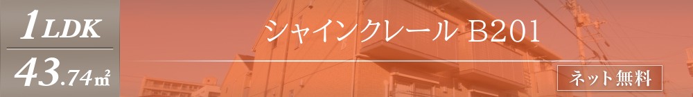 シャインクレール B201表紙