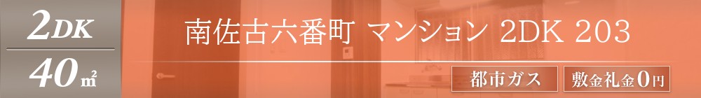 南佐古六番町 マンション 2DK 203表紙
