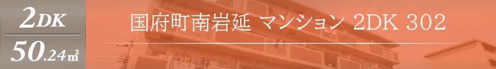 国府町南岩延 マンション 2DK 302表紙