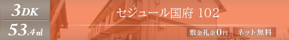 セジュール国府 102表紙