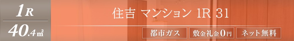 住吉 マンション 1R 31表紙