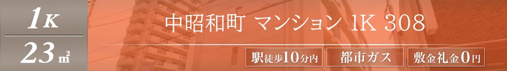 中昭和町 マンション 1K 308表紙