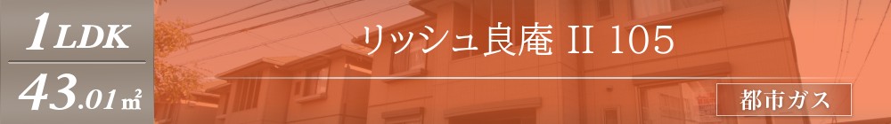 リッシュ良庵 II 105表紙