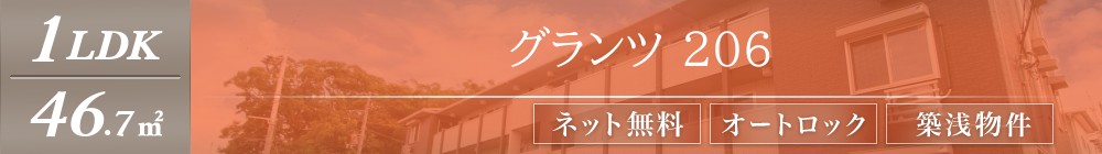 グランツ 206表紙