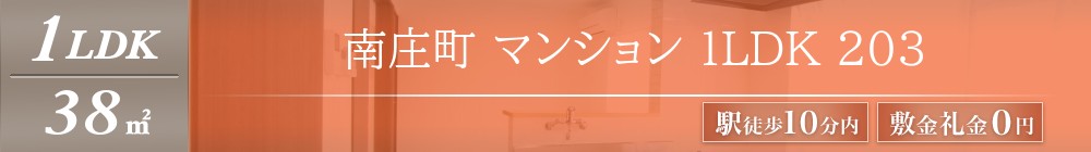 南庄町 マンション 1LDK 203表紙