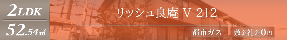 リッシュ良庵 V 212表紙