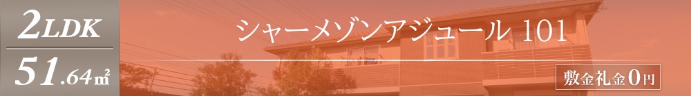 シャーメゾンアジュール 101表紙
