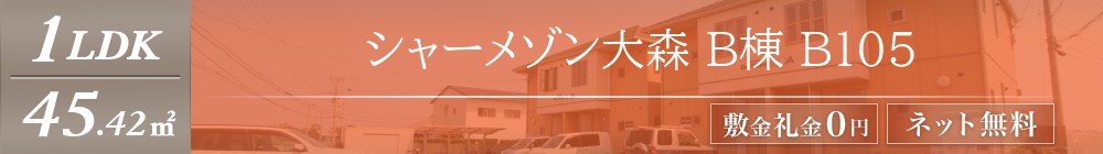 シャーメゾン大森 B棟 B105表紙