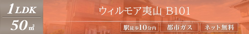 ウィルモア夷山 B101表紙