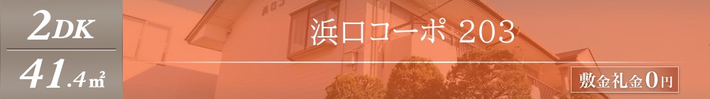 浜口コーポ 203表紙
