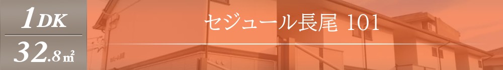 セジュール長尾 101表紙