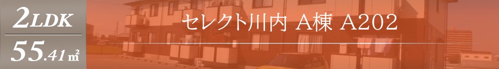 セレクト川内 A棟 A202表紙