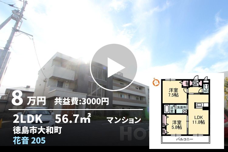 花音 205