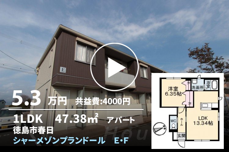 シャーメゾンプランドール E棟 102