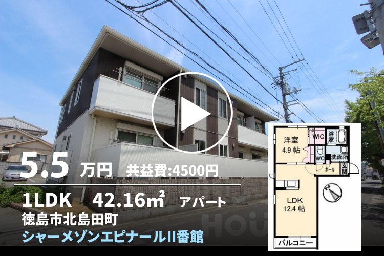 シャーメゾンエピナールII番館 203