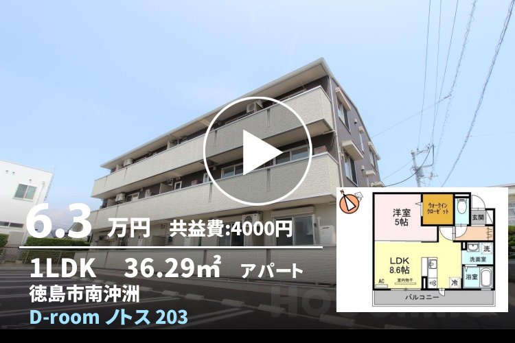 D-room ノトス 203