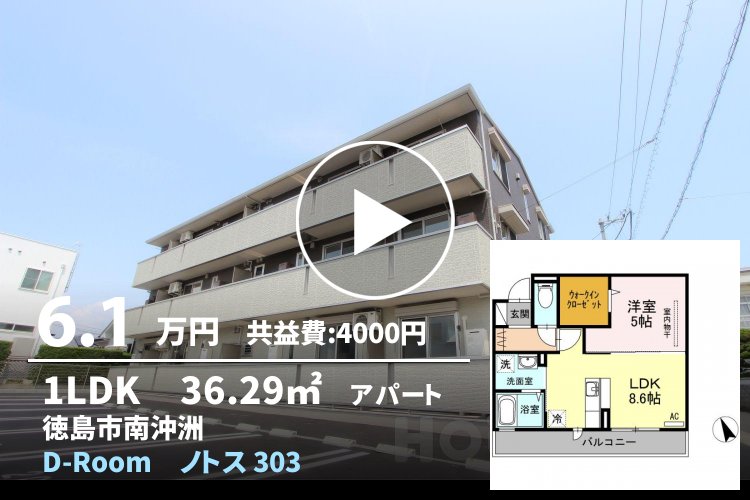 D-room ノトス 303