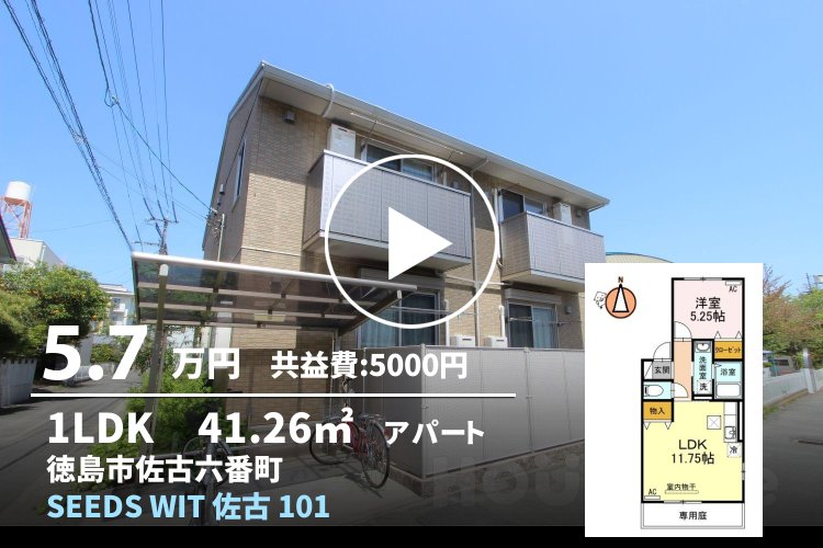 SEEDS WIT 佐古 101
