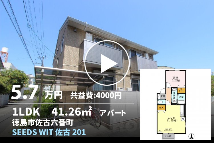 SEEDS WIT 佐古 201