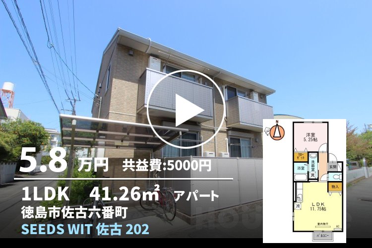 SEEDS WIT 佐古 202