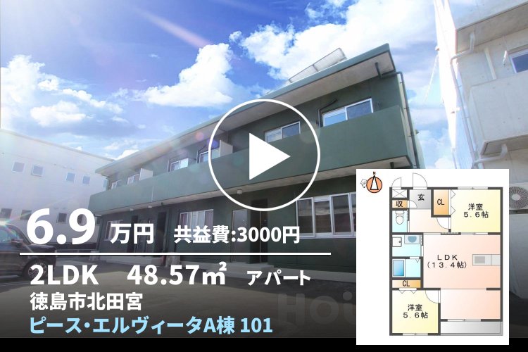 ピース・エルヴィータA棟 101