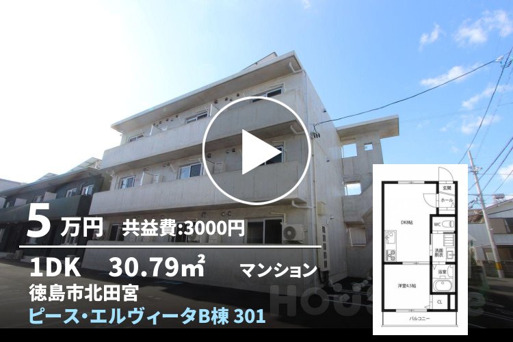 ピース・エルヴィータB棟 301