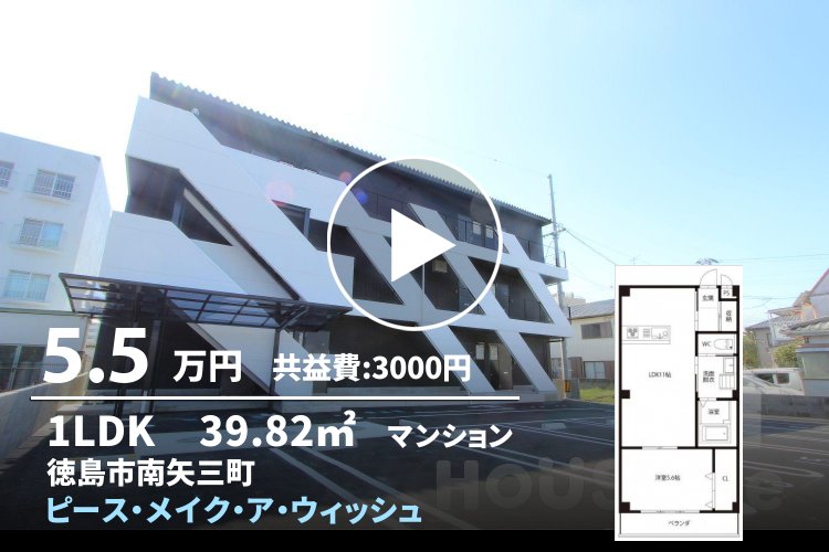 ピース・メイク・ア・ウィッシュ 305