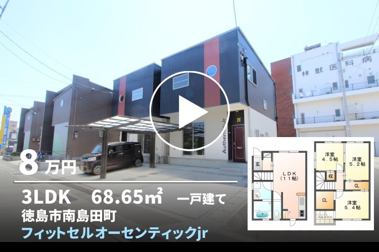フィットセルオーセンティックjr D