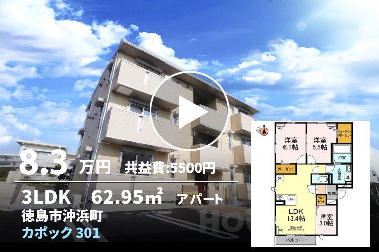 カポック 301